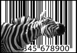 Штрихкод — полоски, которые покорили весь мир