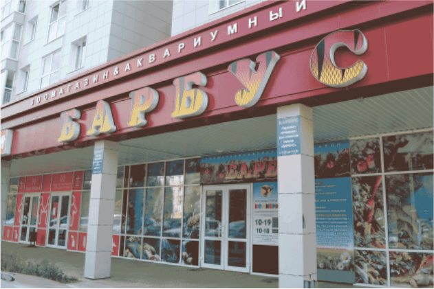 Обновление товароучётной системы в магазине "Барбус"