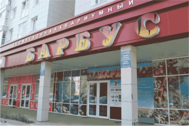 Обновление товароучётной системы в магазине "Барбус"