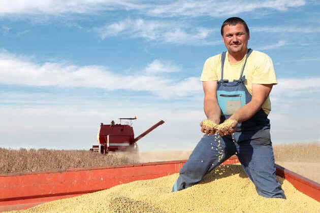 Внедрение Экстрактора данных из 1С в BI для Терра Де Люкс, Тамбовская область